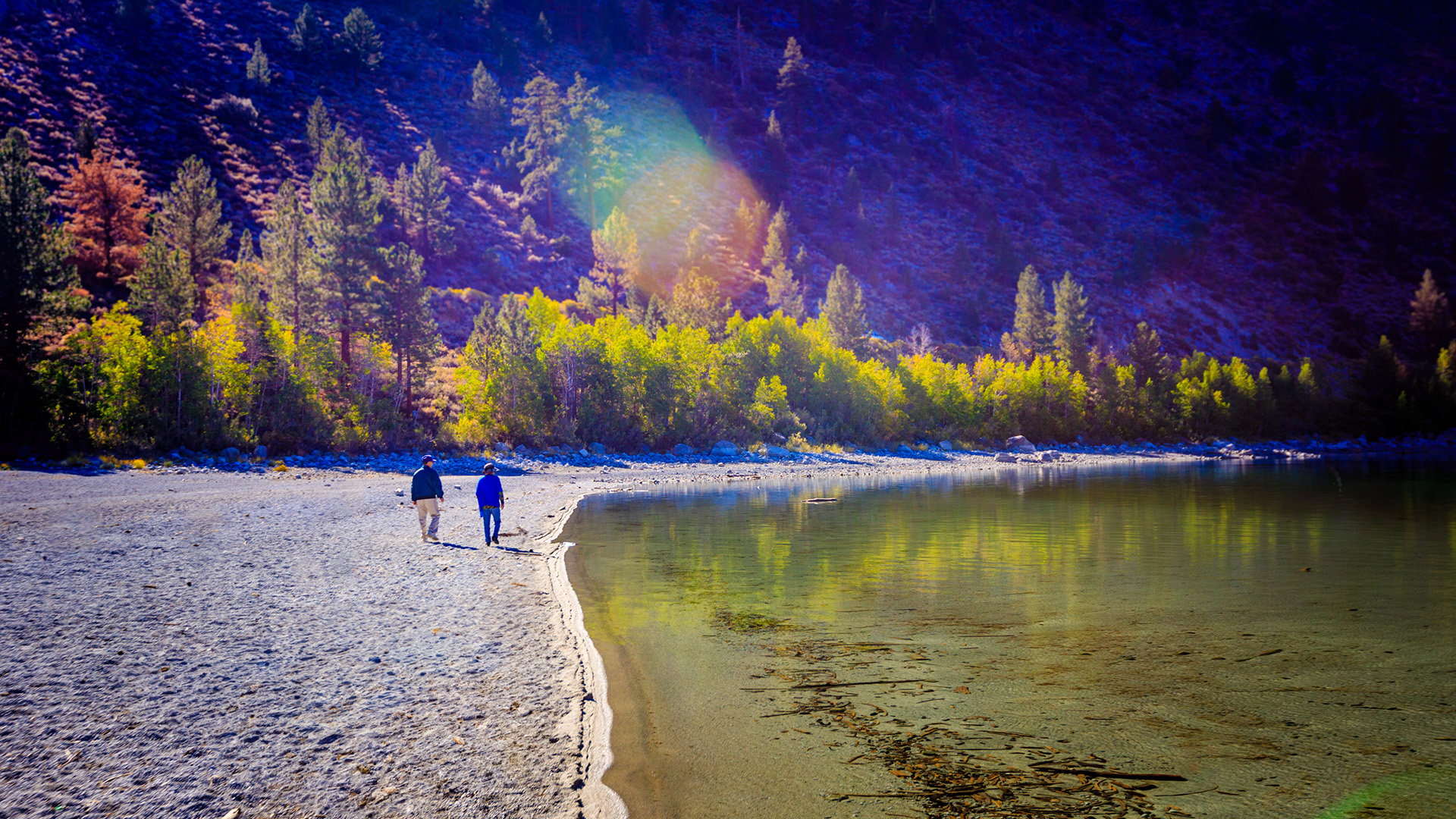 73세라면 반드시 RMD(Required Minimum Distributions) 확인해야 Penalty 피할 수 있다