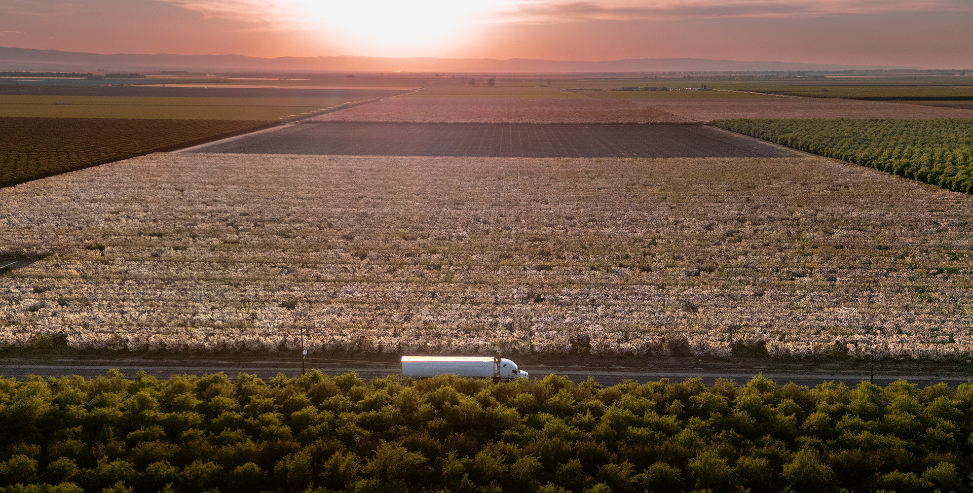 트럭 소유 운영자의 세금과 체납 해결