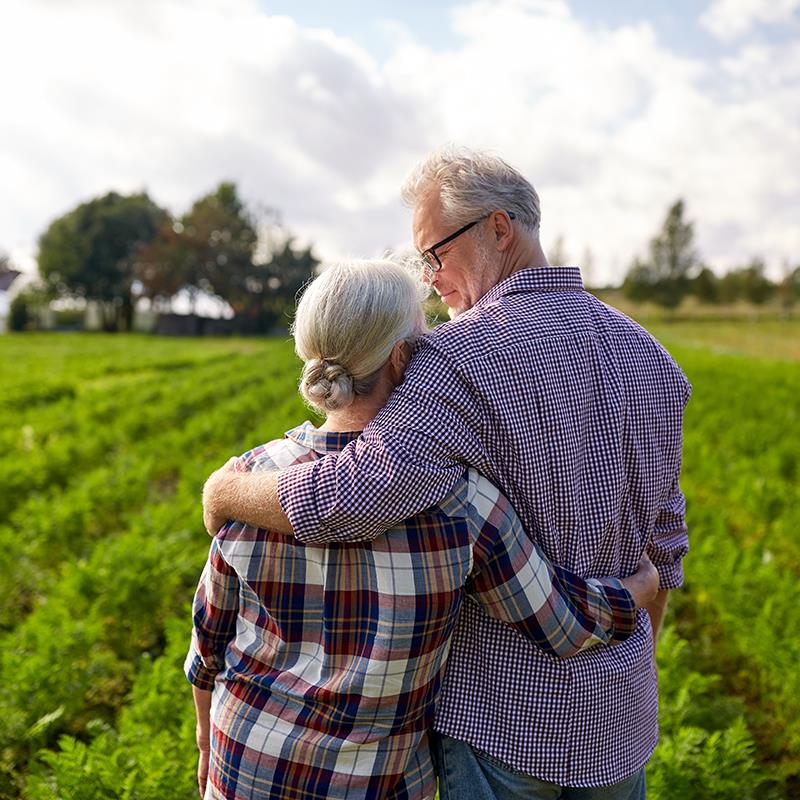 Deceased Spouse Unused Exemption (DSUE)