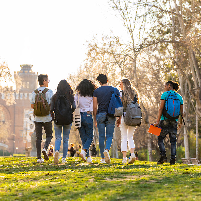 2024-2025 FAFSA 대 혼란, 무엇을 할 수 있을까?