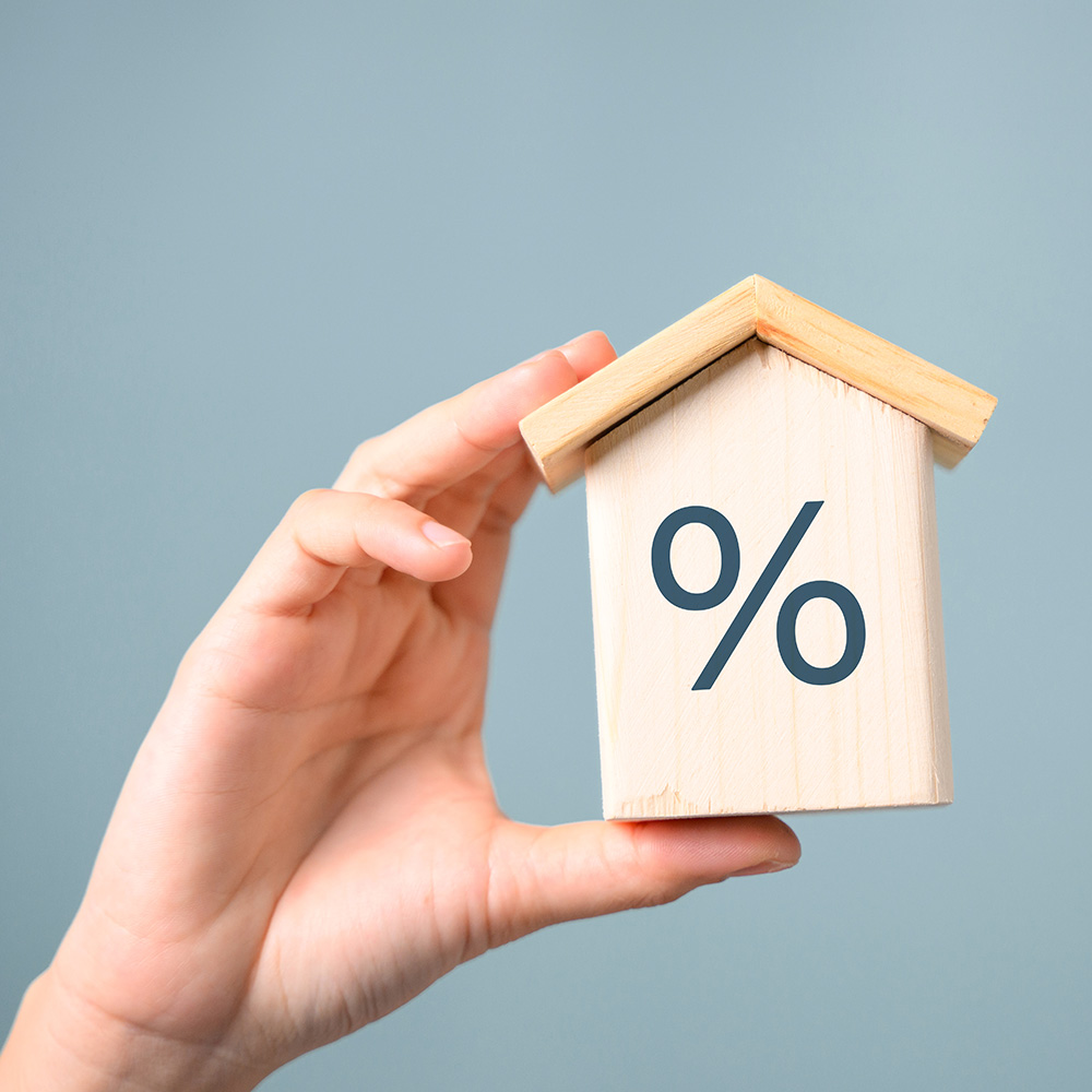 마이가(MYGA) 이젠 안녕?