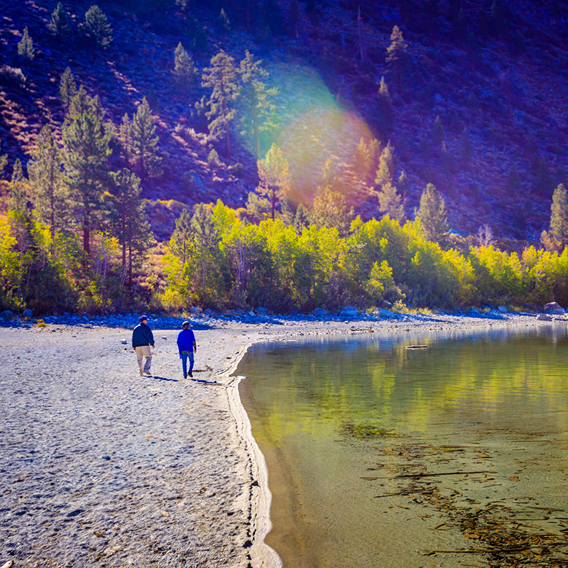 73세라면 반드시 RMD(Required Minimum Distributions) 확인해야 Penalty 피할 수 있다