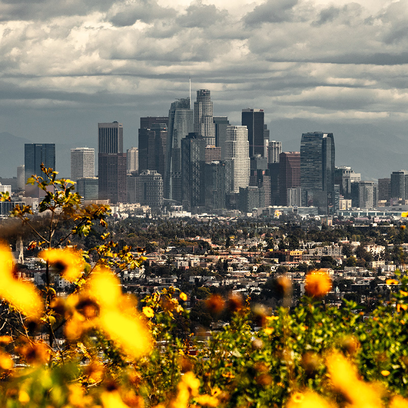 [부동산] 사업용 부동산의 현황 및 전망