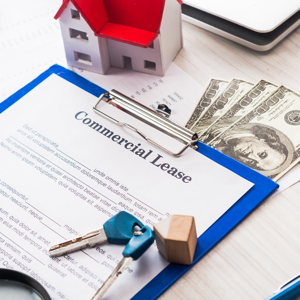 리스의 성립 요건 2