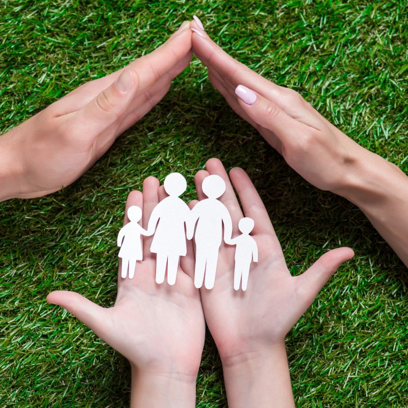 생명보험의 역할