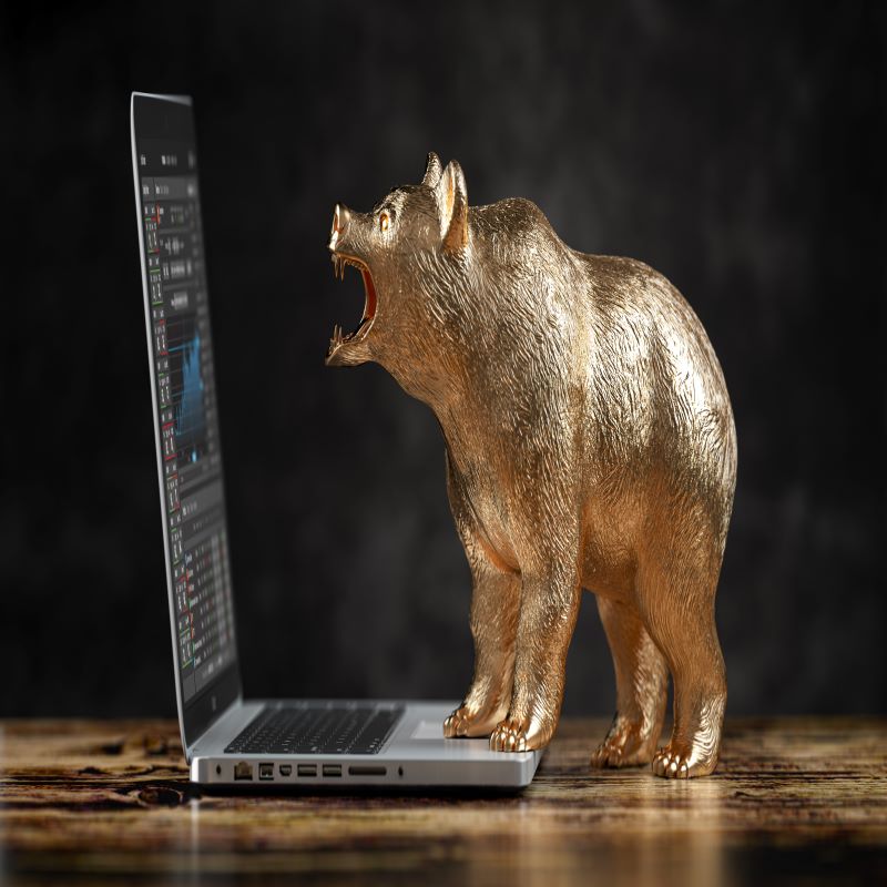 성공투자의 가장 큰 적은 '감정적 투자'