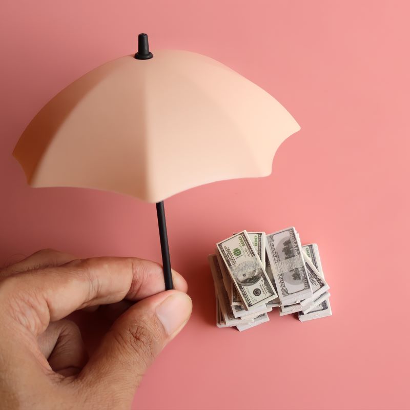 생명보험의 투자가치